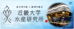 近大卒の魚と紀州の恵み 近畿大学水産研究所