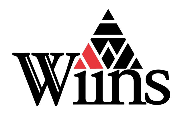 株式会社Wiins