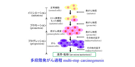 作業療法マッサージ 治療 士