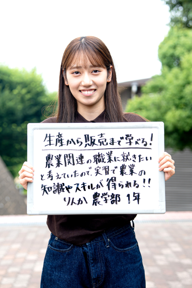 りんか