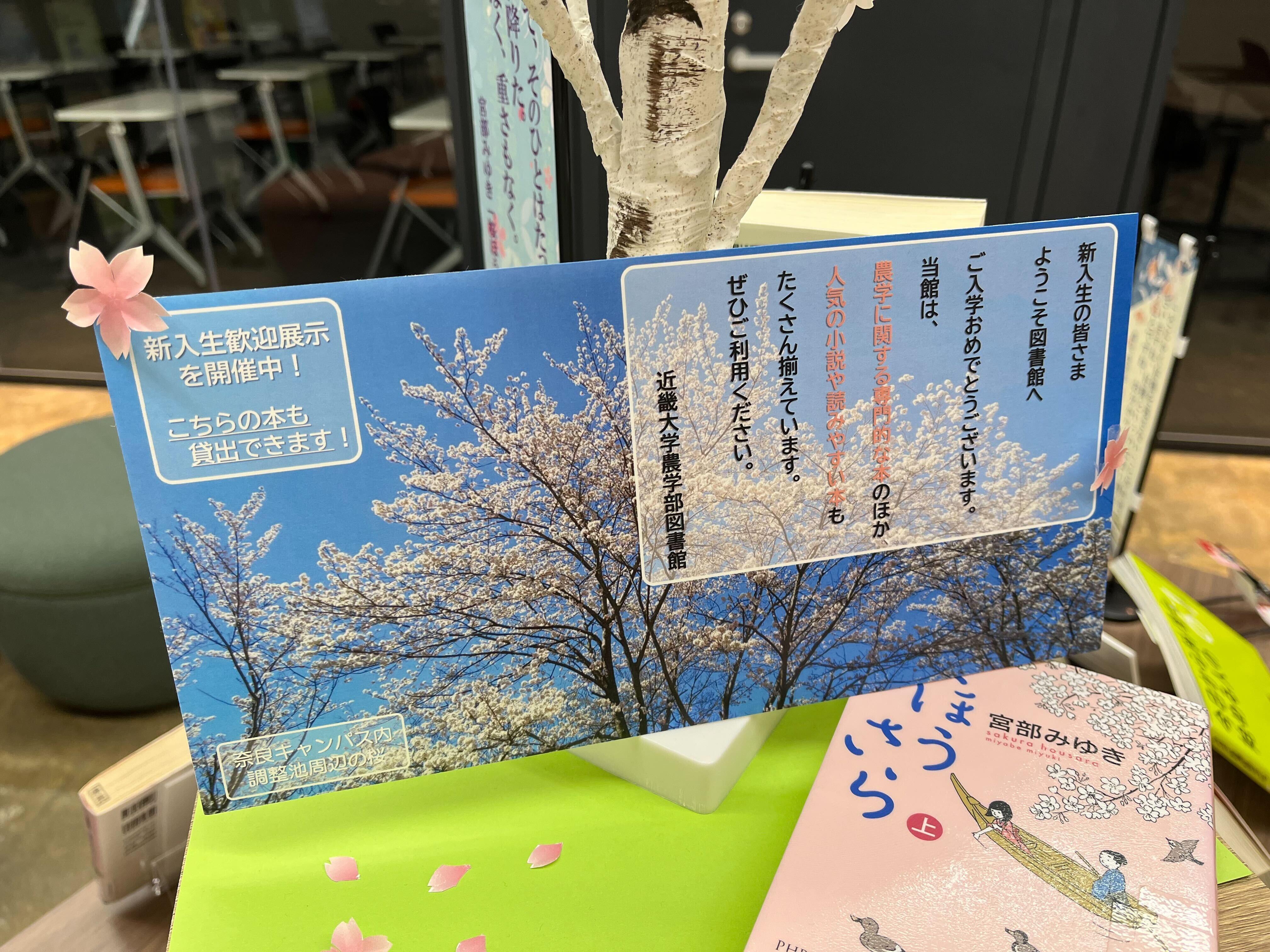 【写真候補①】図書館スタッフ夏のおすすめ本.jpg