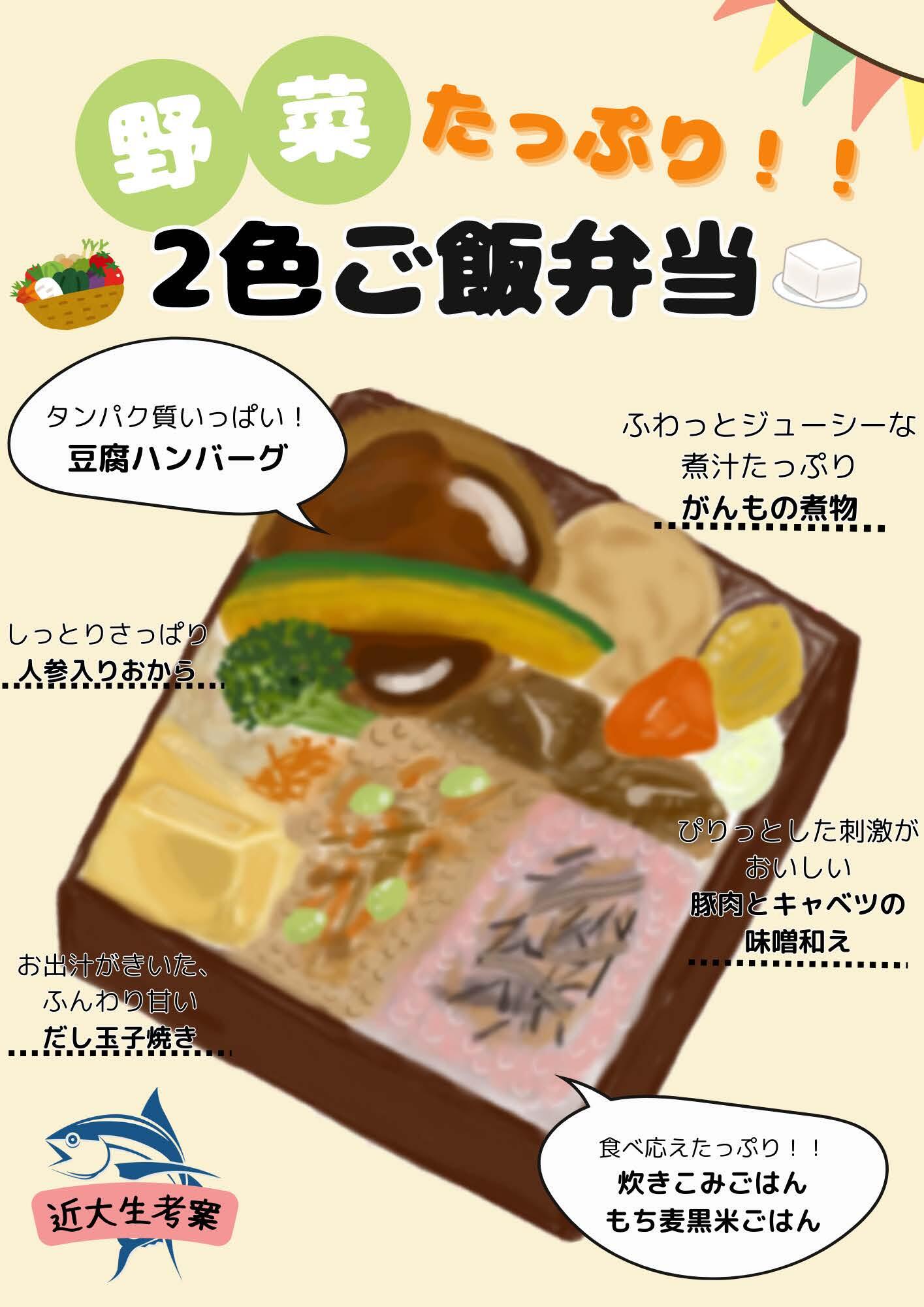 ２色ご飯弁当.jpg
