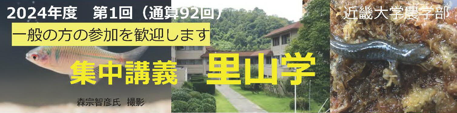 ちらし表