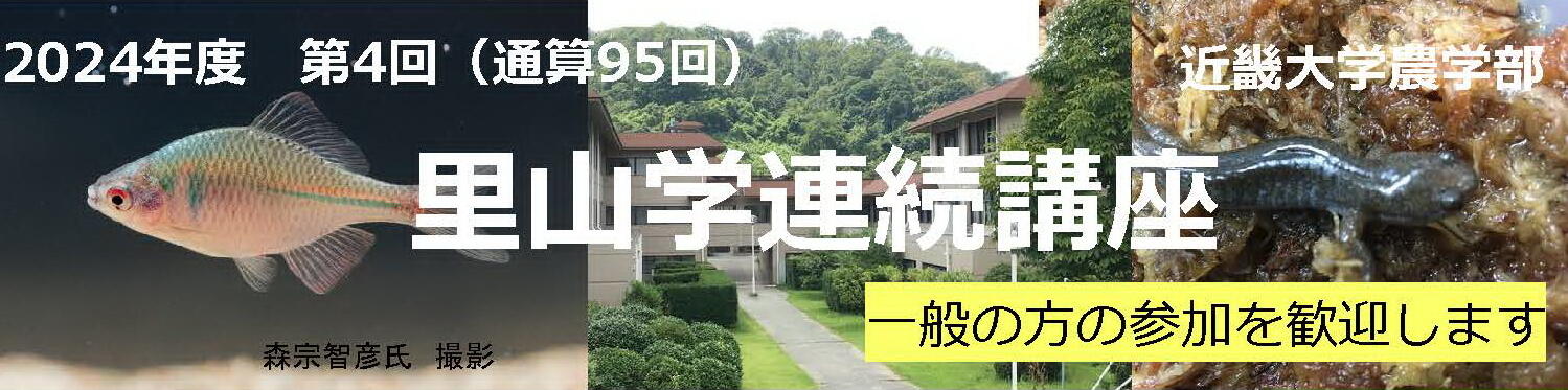 ちらし表