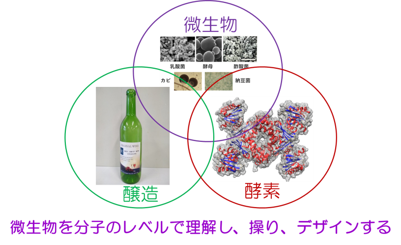 微生物の力を利用した技術革新を目指し、健康かつ豊かで質の高い生活の実現を目指す