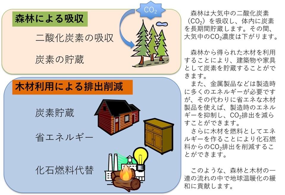 森林を利用して気候変動を抑制する