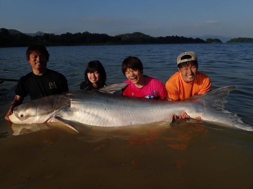 持続的漁業に向けた魚類の行動解析