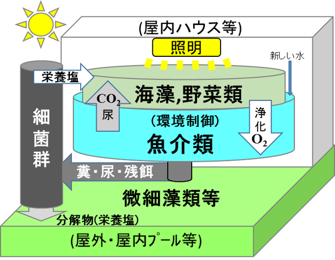 食料とエネルギーをエコに作る動植物複合生産システムの開発