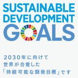 SUSTAINABLE DEVELOPMENT GOALS