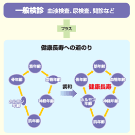 一般検診 血液検査、尿検査、問診など