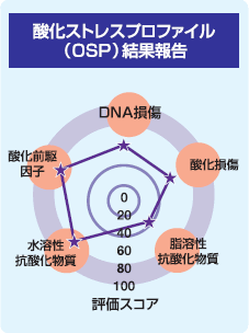酸化ストレスプロファイル（OSP）結果報告