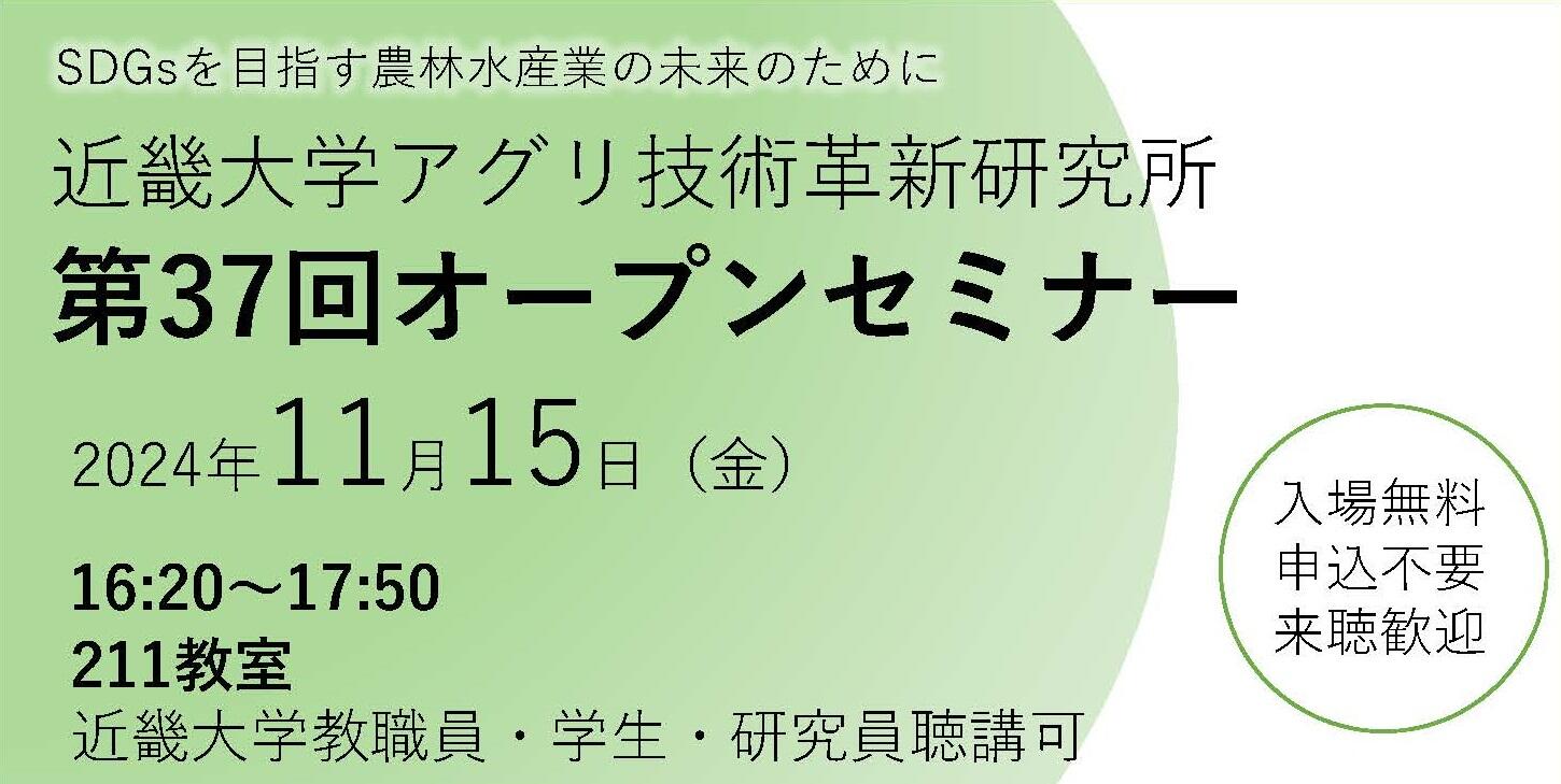 ちらし表