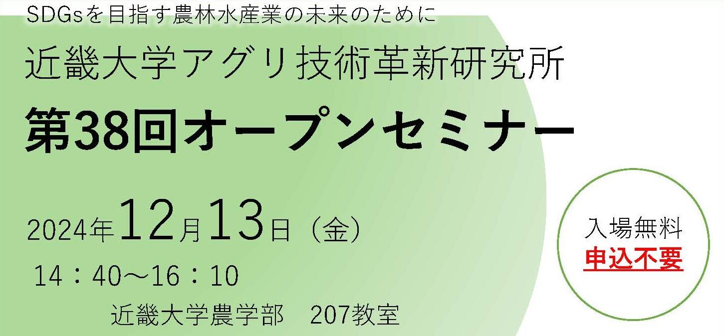ちらし表