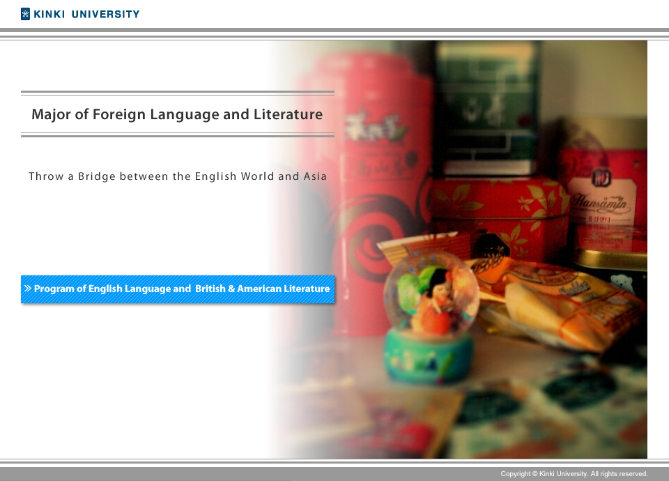 Major of English Language and British & American Literature. Major of Foreign Language and Literature.