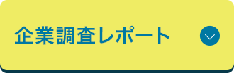 企業調査レポート