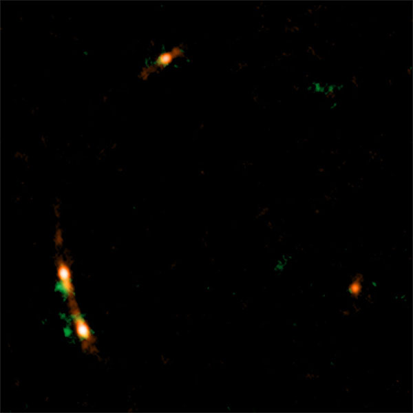 図1 アルマ望遠鏡で観測したクエーサーMG J0414+0534の疑似カラー画像。白色やオレンジ色が塵と高温電離ガスの分布、緑色が一酸化炭素分子ガスの分布を表しています。重力レンズ効果によって弧状に引き延ばされています。Credit: ALMA (ESO/NAOJ/NRAO), K. T. Inoue et al.