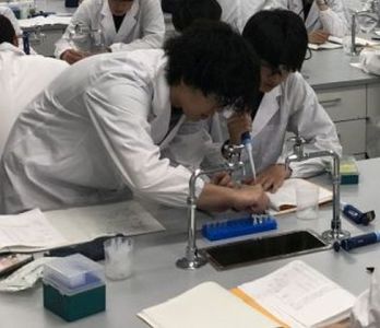 酵素活性測定実験の様子
