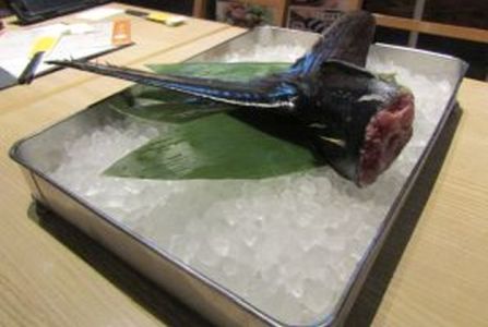 本実験で提供いただいた近大マグロ