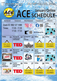ACE-Schedule.gif