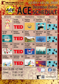 Dec.-ACE-Schedule.gif