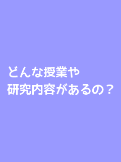 どんな授業や研究内容があるの？