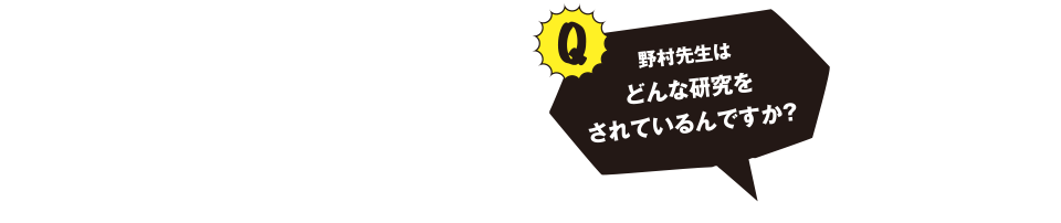 野村先生はどんな研究をされているんですか？
