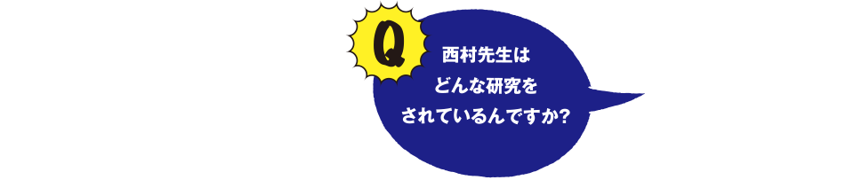 西村先生はどんな研究をされているんですか？