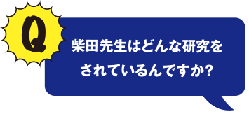 柴田先生はどんな研究をされているんですか?