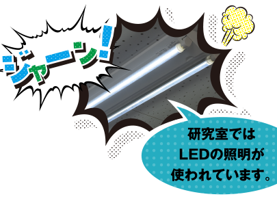 ジャーン！研究室ではLEDの照明が使われています。