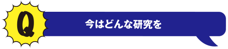 Q 今はどんな研究を