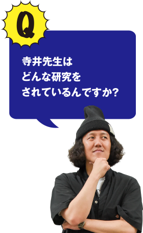 Q 寺井先生はどんな研究をされているんですか？