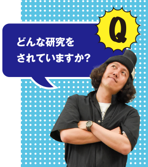 Q どんな研究をされていますか？