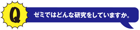 Q ゼミではどんな研究をしていますか。