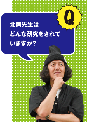 Q 北岡先生はどんな研究をされていますか？