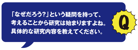 Q 「なぜだろう？」という疑問を持って、考えることから研究は始まりますよね。具体的な研究内容を教えてください。