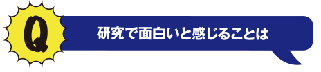 Q 研究で面白いと感じることは