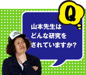 Q 山本先生はどんな研究をされていますか？