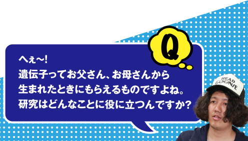 Q へぇ～! 遺伝子ってお父さん、お母さんから生まれたときにもらえるものですよね。研究はどんなことに役に立つんですか？