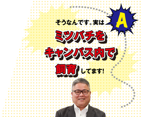 A そんなんです。実はミツバチをキャンパス内で飼育してます!