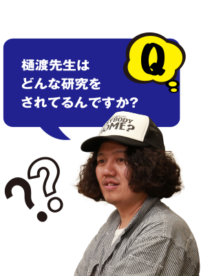 Q 樋渡先生はどんな研究をされてるんですか？