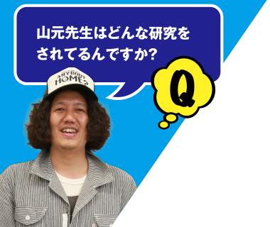 Q 山元先生はどんな研究をされてるんですか？