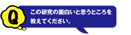 Q この研究の面白いと思うところを教えてください。