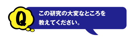 Q この研究の大変なところを教えてください。