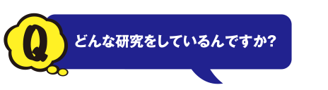 Q どんな研究をしているんですか？