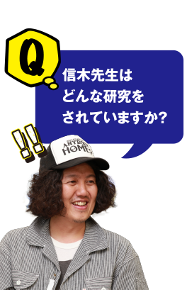 Q 信木先生はどんな研究をされていますか？