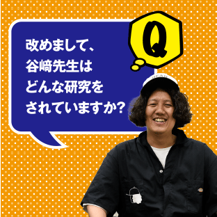 Q 改めまして、谷崎先生はどんな研究をされていますか?