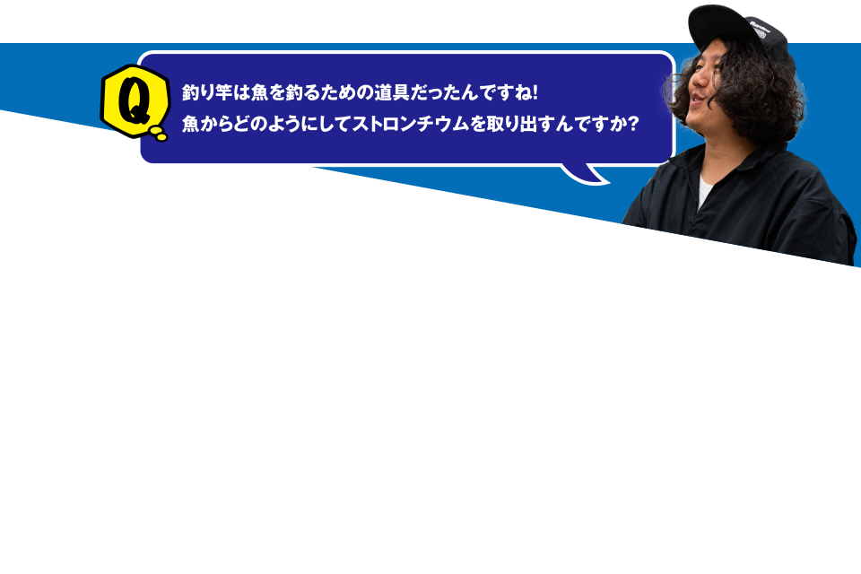 Q 釣り竿は魚を釣るための道具だったんですね！魚からどのようにしてストロンチウムを取り出すんですか？