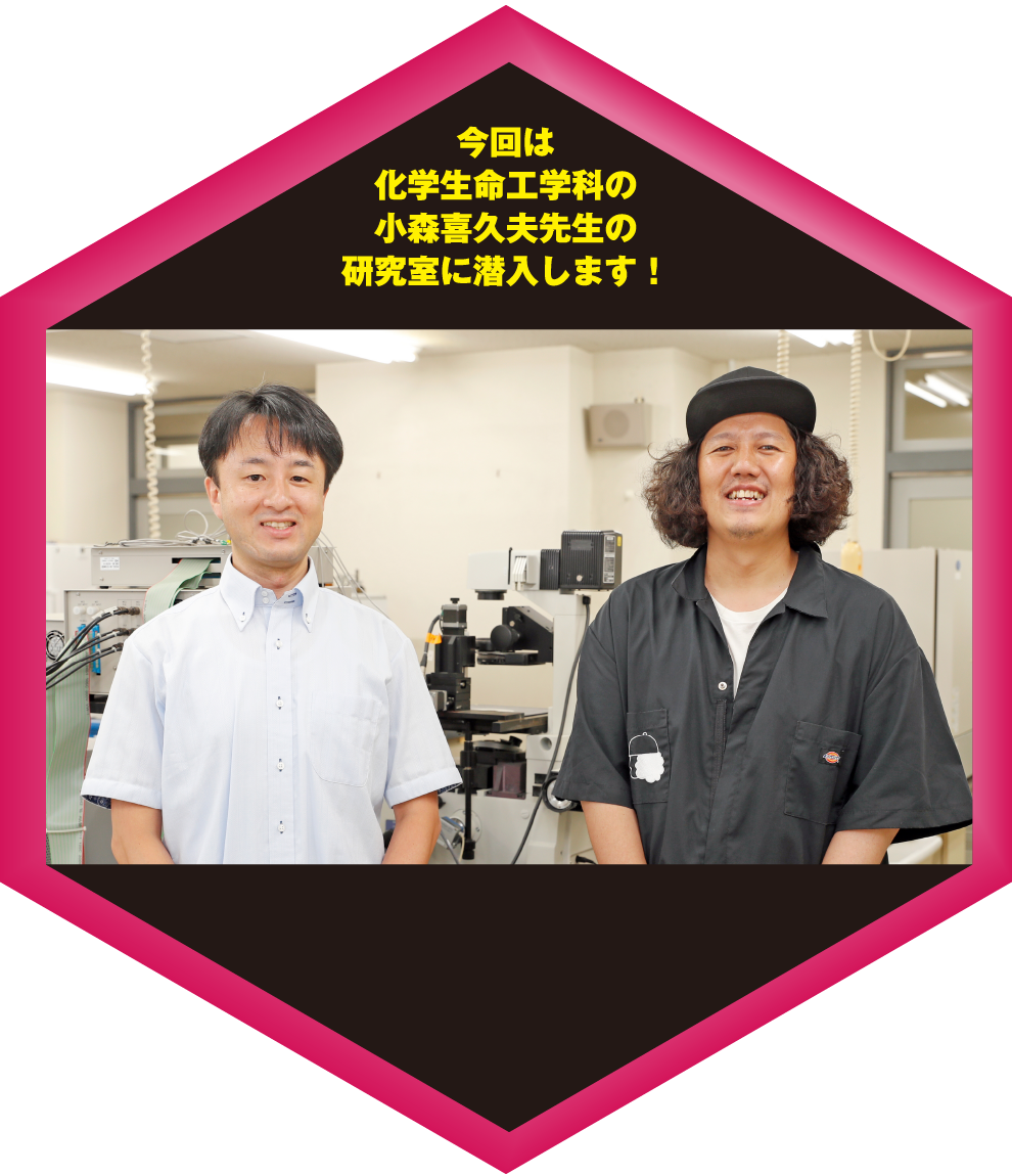 今回は化学生命工学科の小森喜久夫先生の研究室に潜入します！