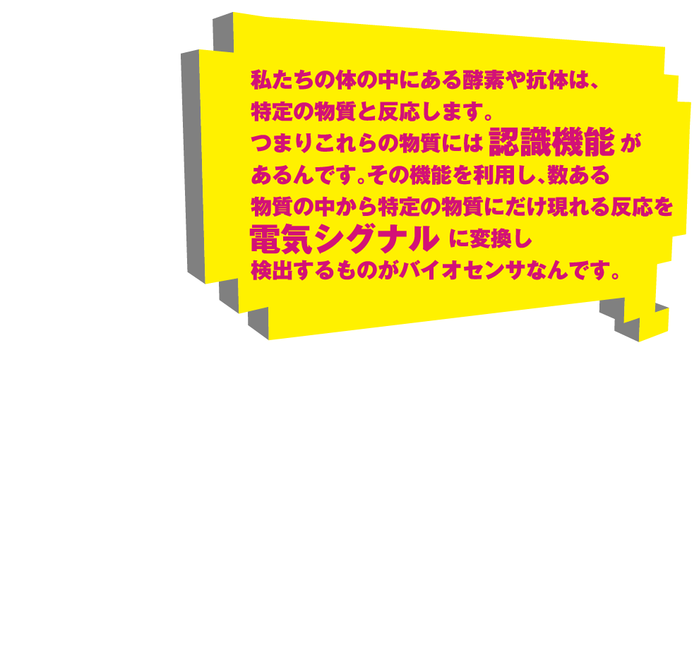 私たちの体の中にある酵素や抗体は、特定の物質と反応します。つまりこれらの物質には認識機能があるんです。その機能を利用し、数ある物質の中から特定の物質にだけ現れる反応を電気シグナルに変換し検出するものがバイオセンサなんです。