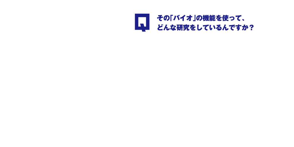 Q.その「バイオ」の機能を使って、どんな研究をしているんですか？